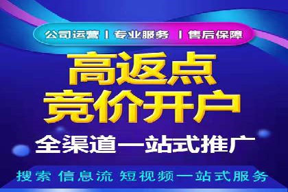 某行业领军企业的SEM广告投放策略